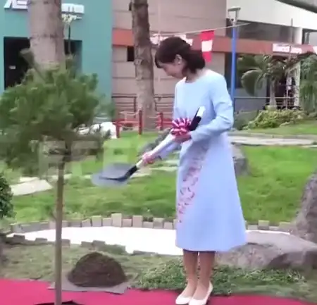 2918.mp4