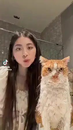 ssstwitter.com_1752282170975.mp4