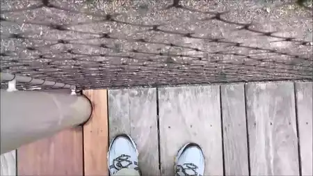 3694.mp4
