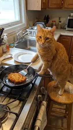3759.mp4