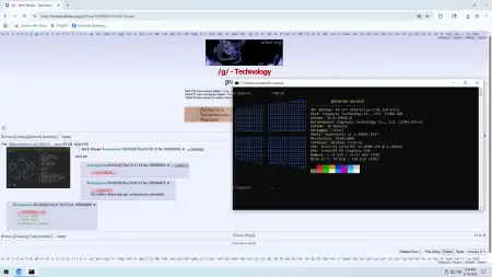 8.webp