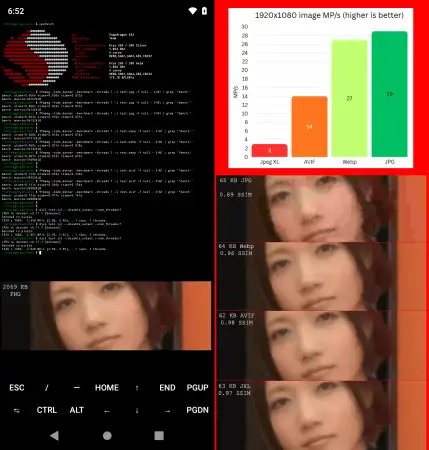 1768678992650.webp