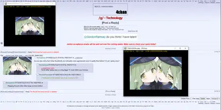 3987.webp