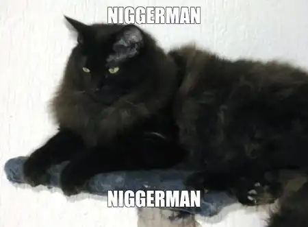 NIGGERMAN NIGGERMAN.webp