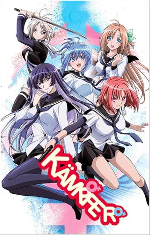 Cover of Kämpfer