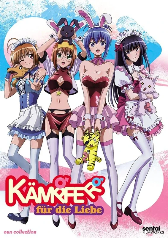 Cover of Kämpfer für die Liebe