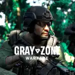 Cover for Gray Zone Warfare