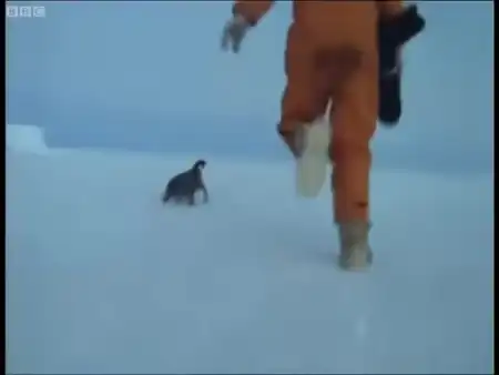 1773979075189791.webm